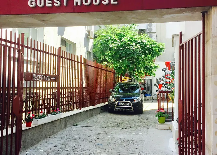 Skyler 普罗夫迪夫